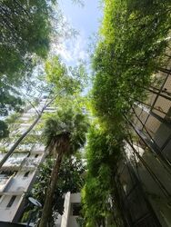 Trilive (D19), Condominium #580799561